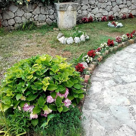 17716b Apartman